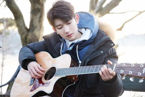 圈内大爆料王源,圈内大爆料背后的真实故事  第2张