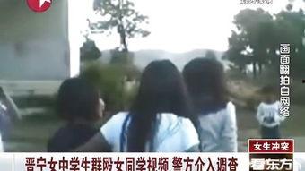 高中生失踪爆料视频大全,视频大全背后的真相与警示  第2张