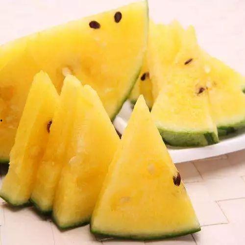 网红有什么瓜吃的好吃,揭秘那些让人垂涎欲滴的“瓜中珍品”  第3张