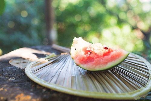 免费吃瓜入口直达  第1张